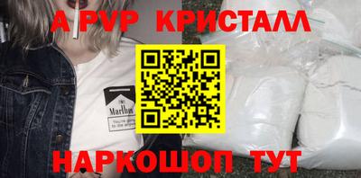 spice Гатчина