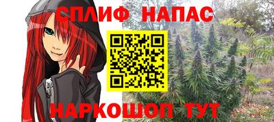 spice Гатчина