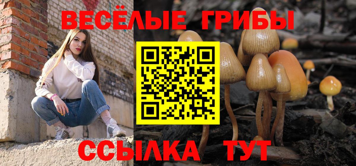 Мценск  Галлюциногенные грибы Psilocybe  Вход с VPN 