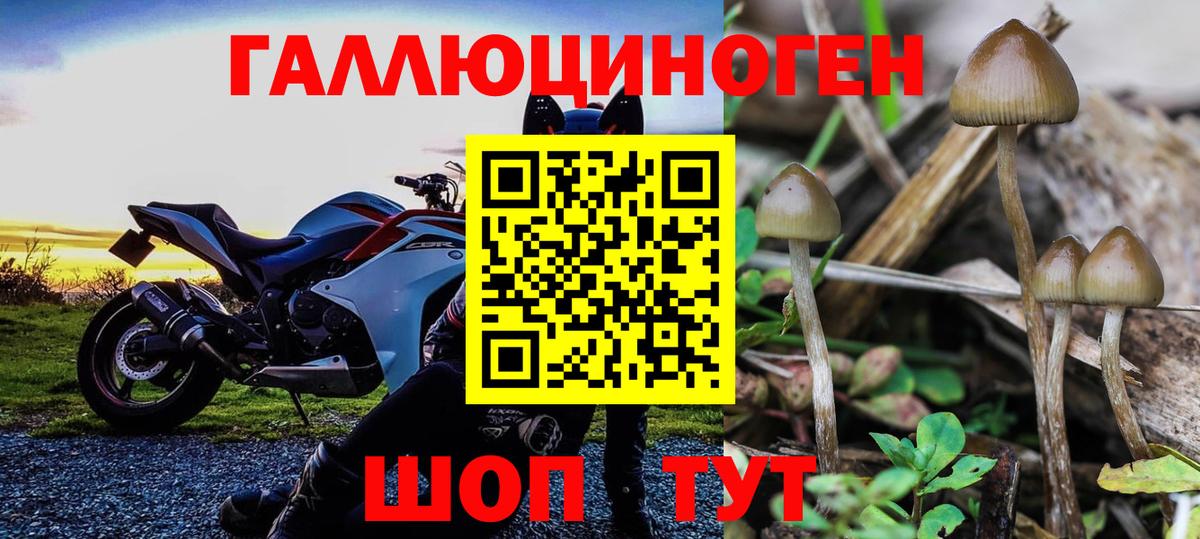 Псилоцибиновые грибы Magic Shrooms Мценск